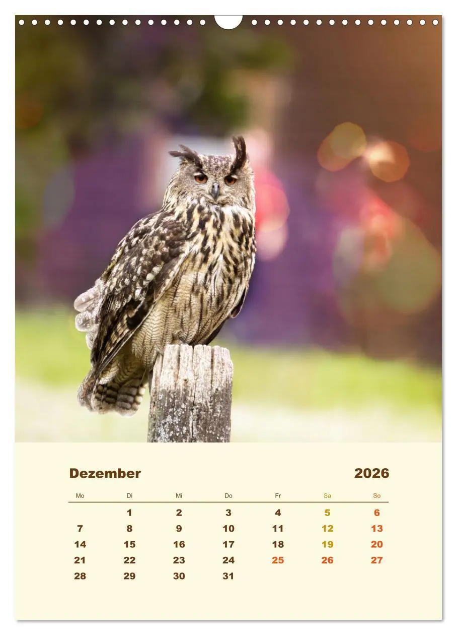 Bild: 9783516351590 | Uhu, die Faszination bernsteinfarbener Augen (Wandkalender 2026 DIN...