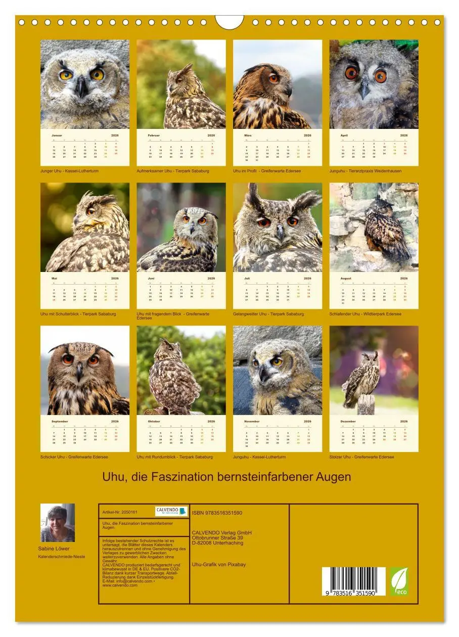 Bild: 9783516351590 | Uhu, die Faszination bernsteinfarbener Augen (Wandkalender 2026 DIN...