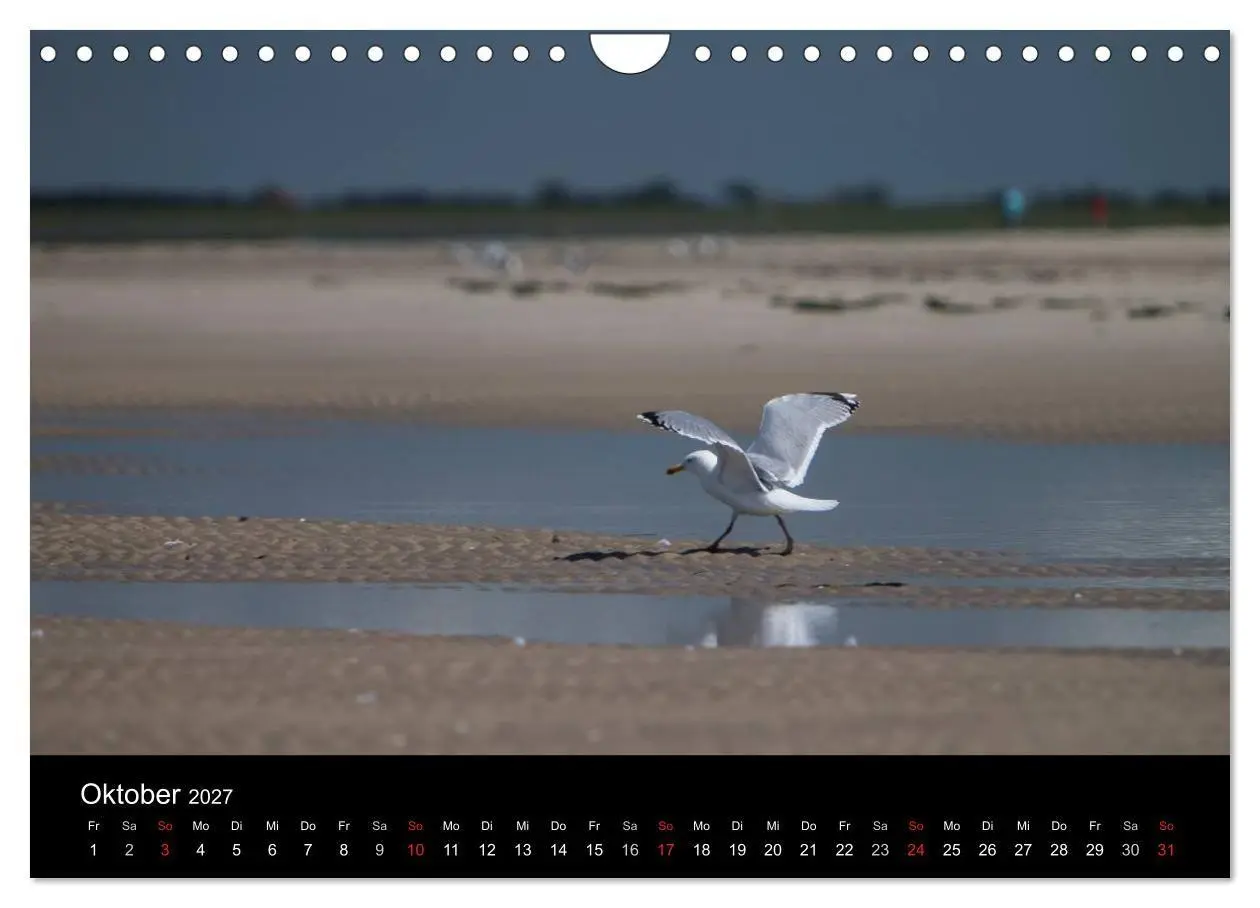 Bild: 9783594021590 | Amrumer Impressionen (Wandkalender 2027 DIN A4 quer), CALVENDO...