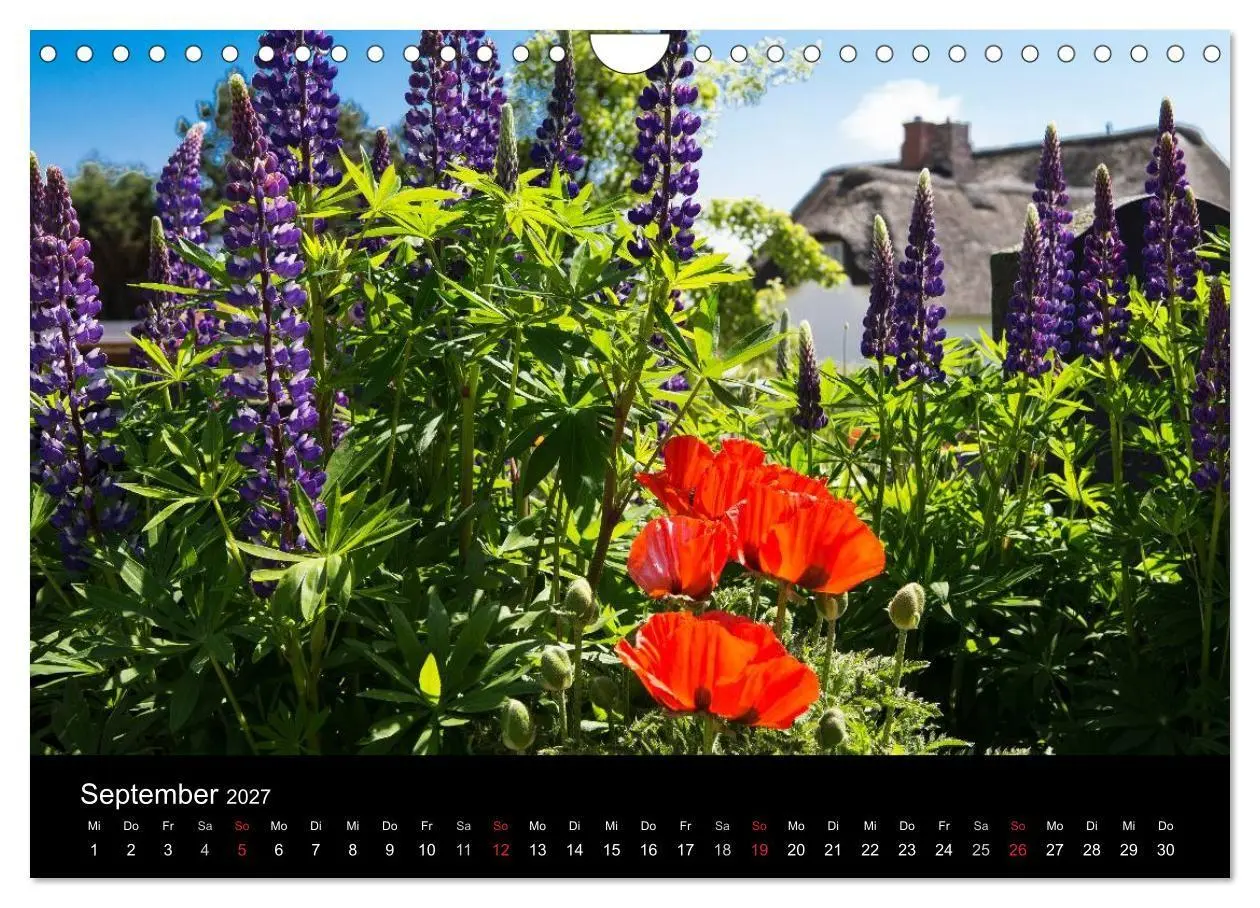 Bild: 9783594021590 | Amrumer Impressionen (Wandkalender 2027 DIN A4 quer), CALVENDO...