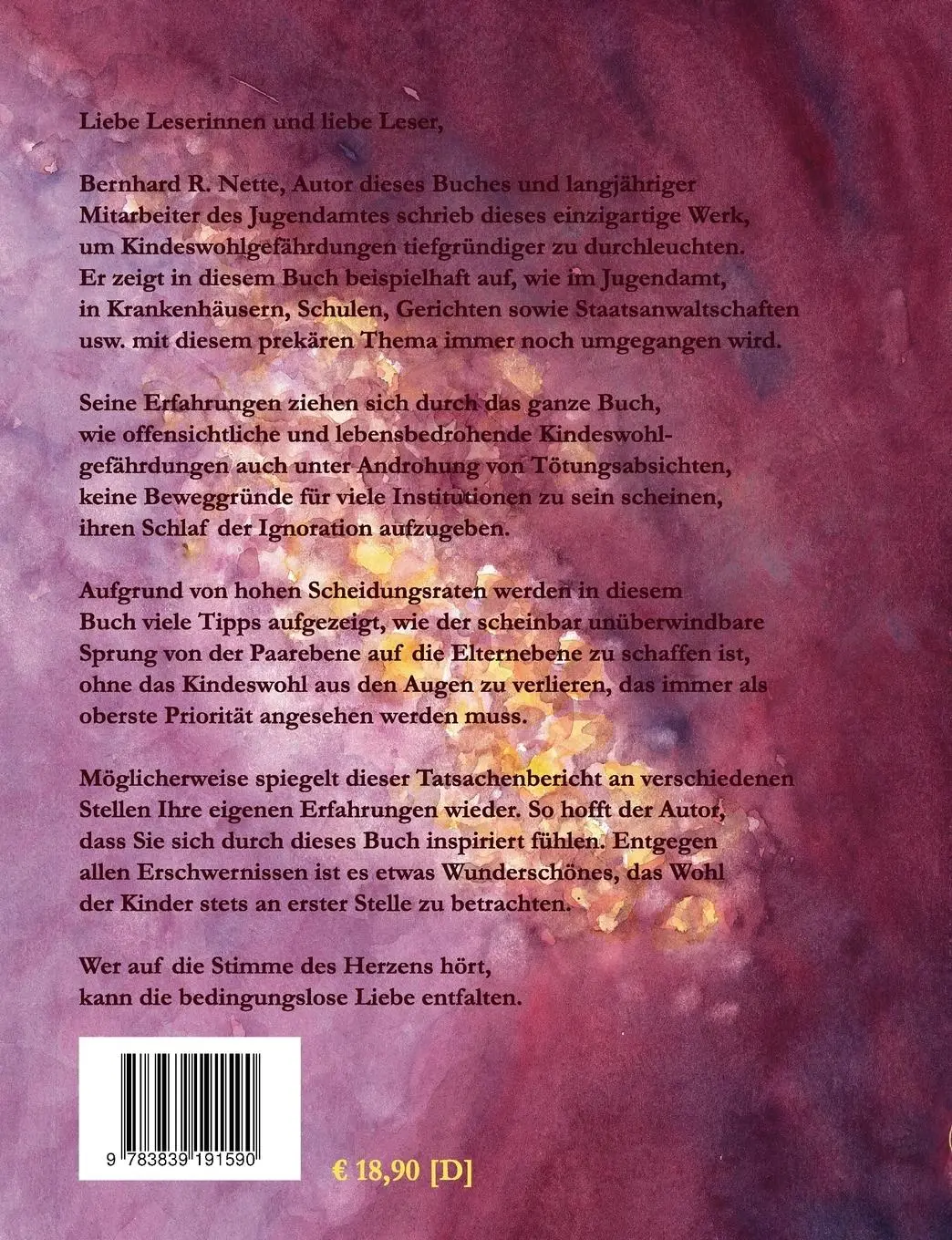 Rückseite: 9783839191590 | Jugendamt - Das Gewitter | Bernhard R. Nette | Taschenbuch | 296 S.