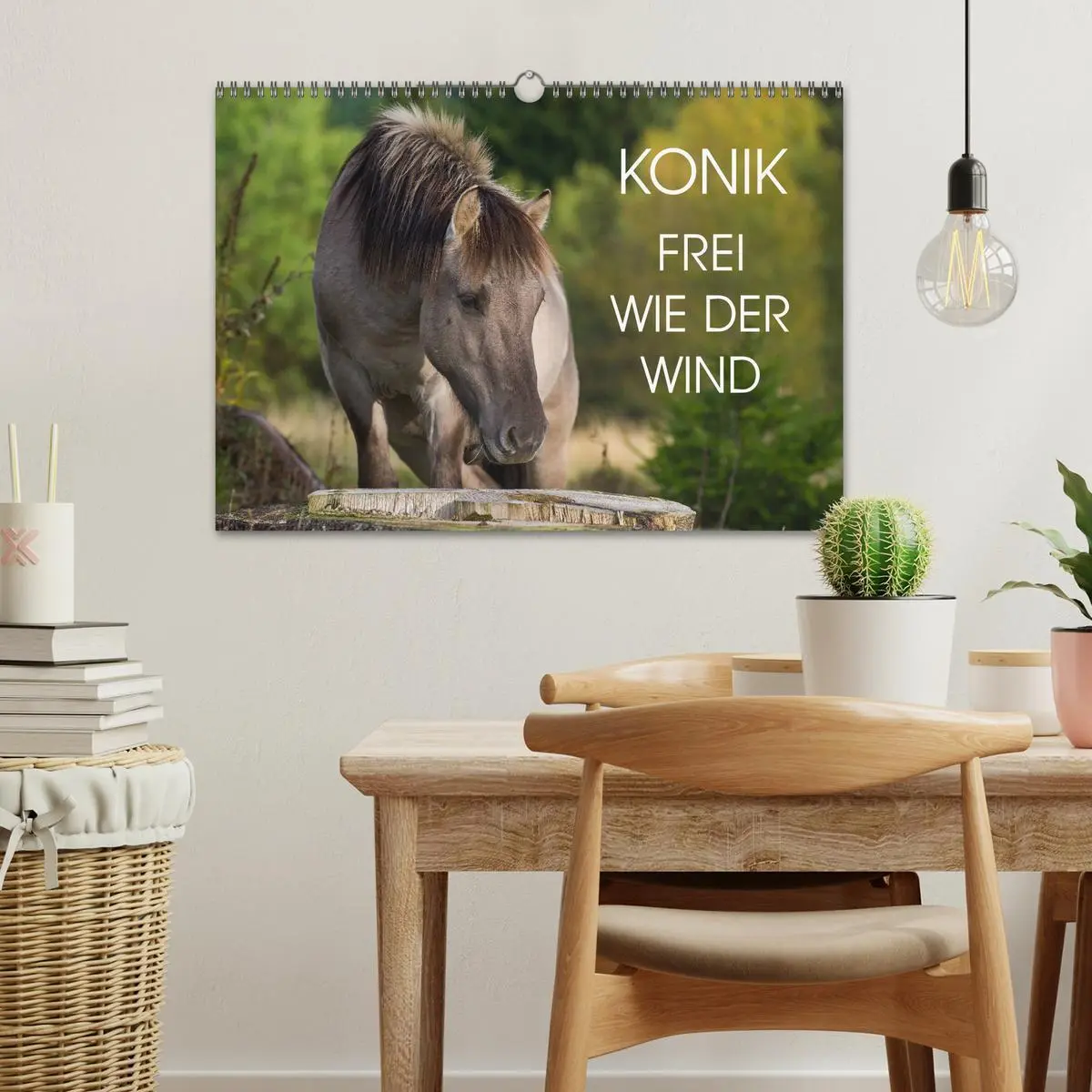 Bild: 9783516031690 | Konik - Frei geboren (Wandkalender 2026 DIN A3 quer), CALVENDO...