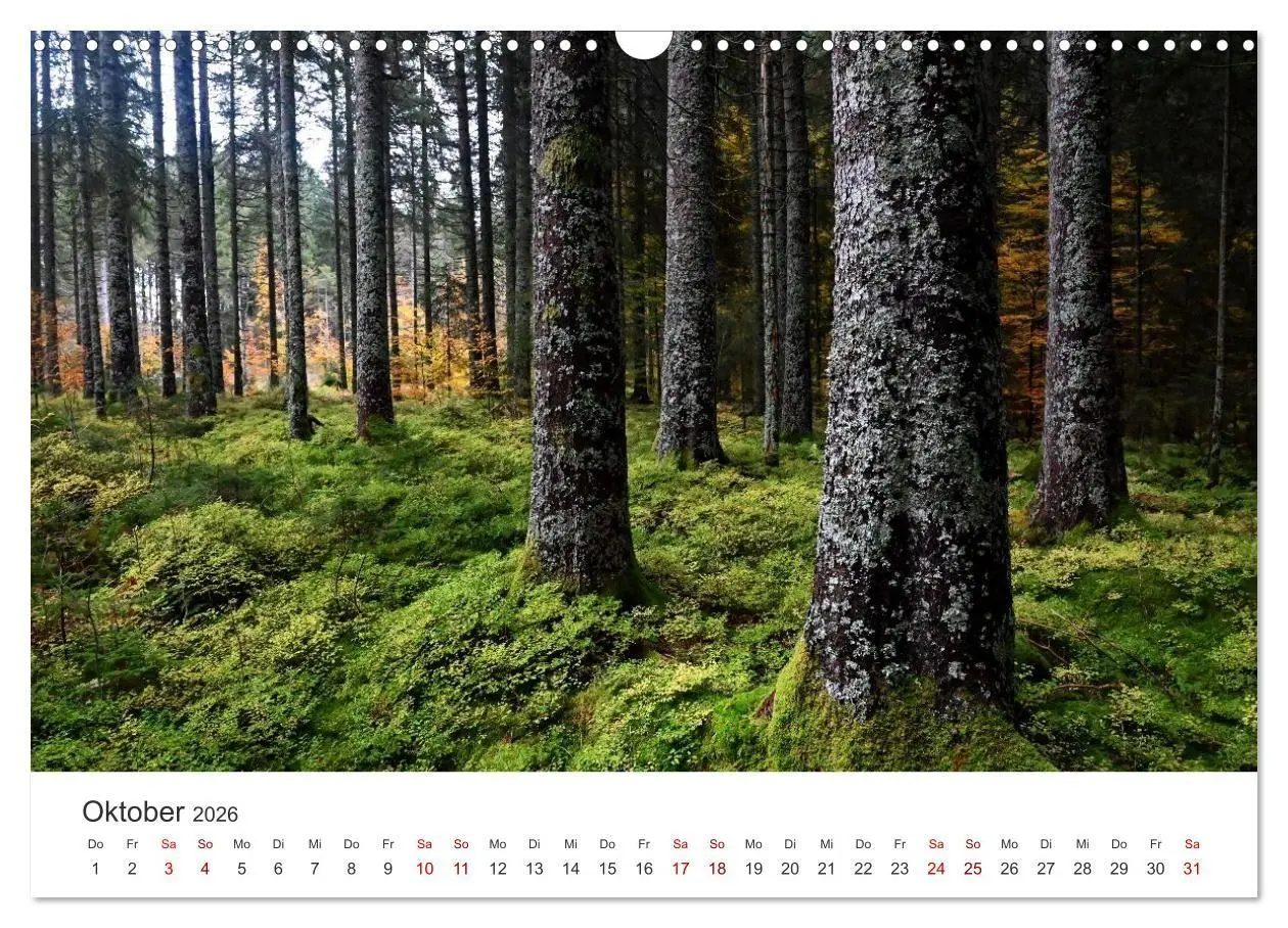 Bild: 9783516721690 | Deutschlands Landschaften 2026 - Von der Küste bis zu den Alpen...