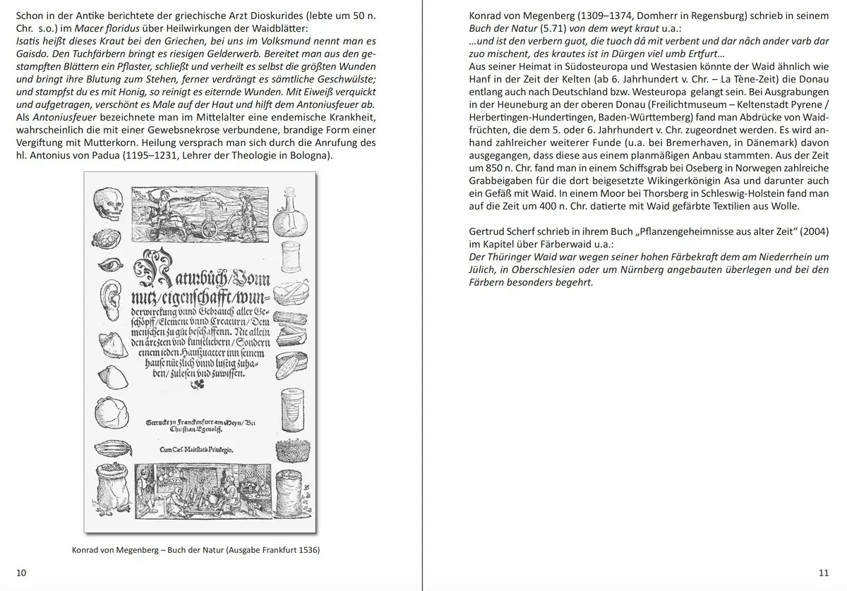 Bild: 9783959661690 | FÄRBERWAID | Blaues Gold aus Thüringen | Georg Schwedt | Taschenbuch