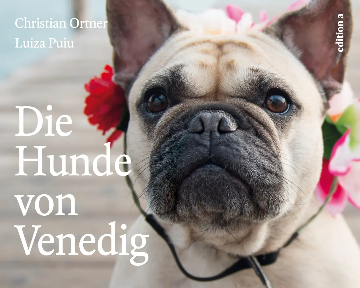 Cover: 9783990011690 | Die Hunde von Venedig | Christian Ortner | Buch | 176 S. | Deutsch