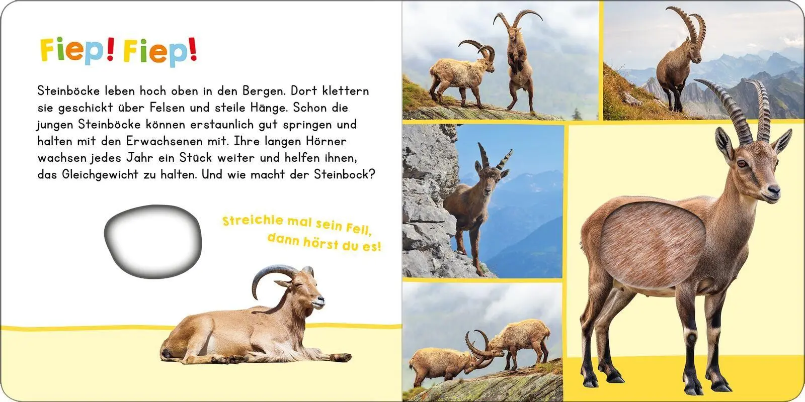 Bild: 9783845871790 | Hör mal rein, wer kann das sein? In den Bergen | Buch | 12 S. | 2026