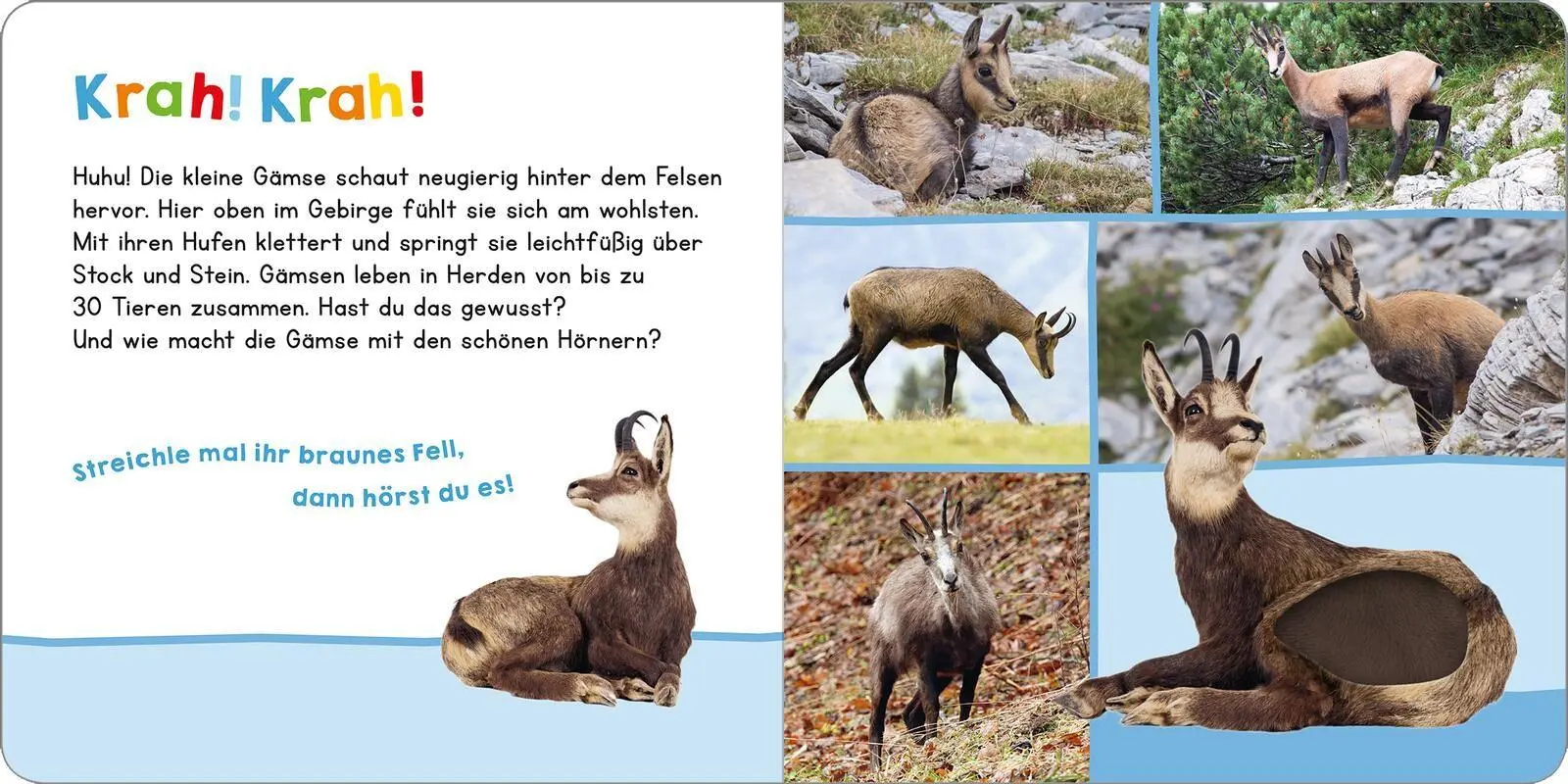 Bild: 9783845871790 | Hör mal rein, wer kann das sein? In den Bergen | Buch | 12 S. | 2026