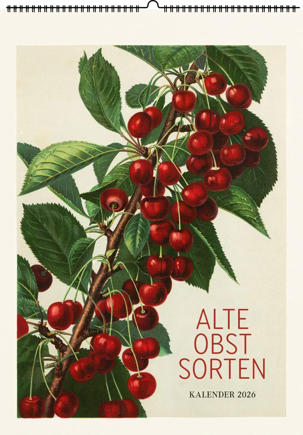 Cover: 9783968491790 | Alte Obstsorten. Wandkalender 2026 | Kalender | 14 S. | Deutsch | 2026