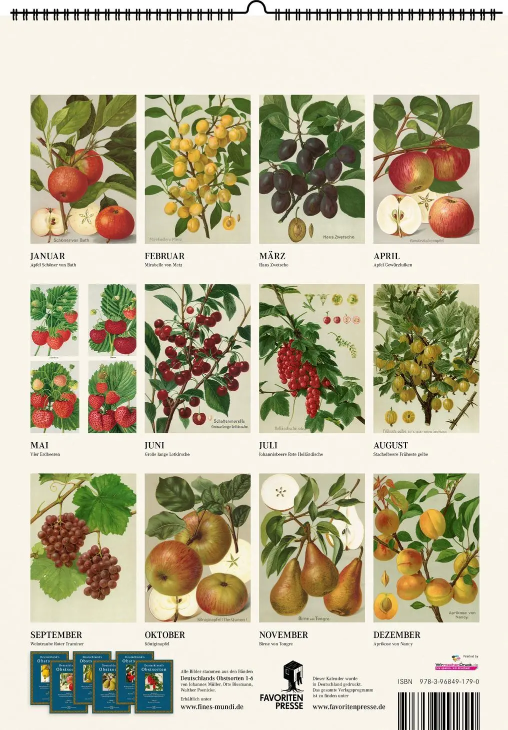 Rückseite: 9783968491790 | Alte Obstsorten. Wandkalender 2026 | Kalender | 14 S. | Deutsch | 2026