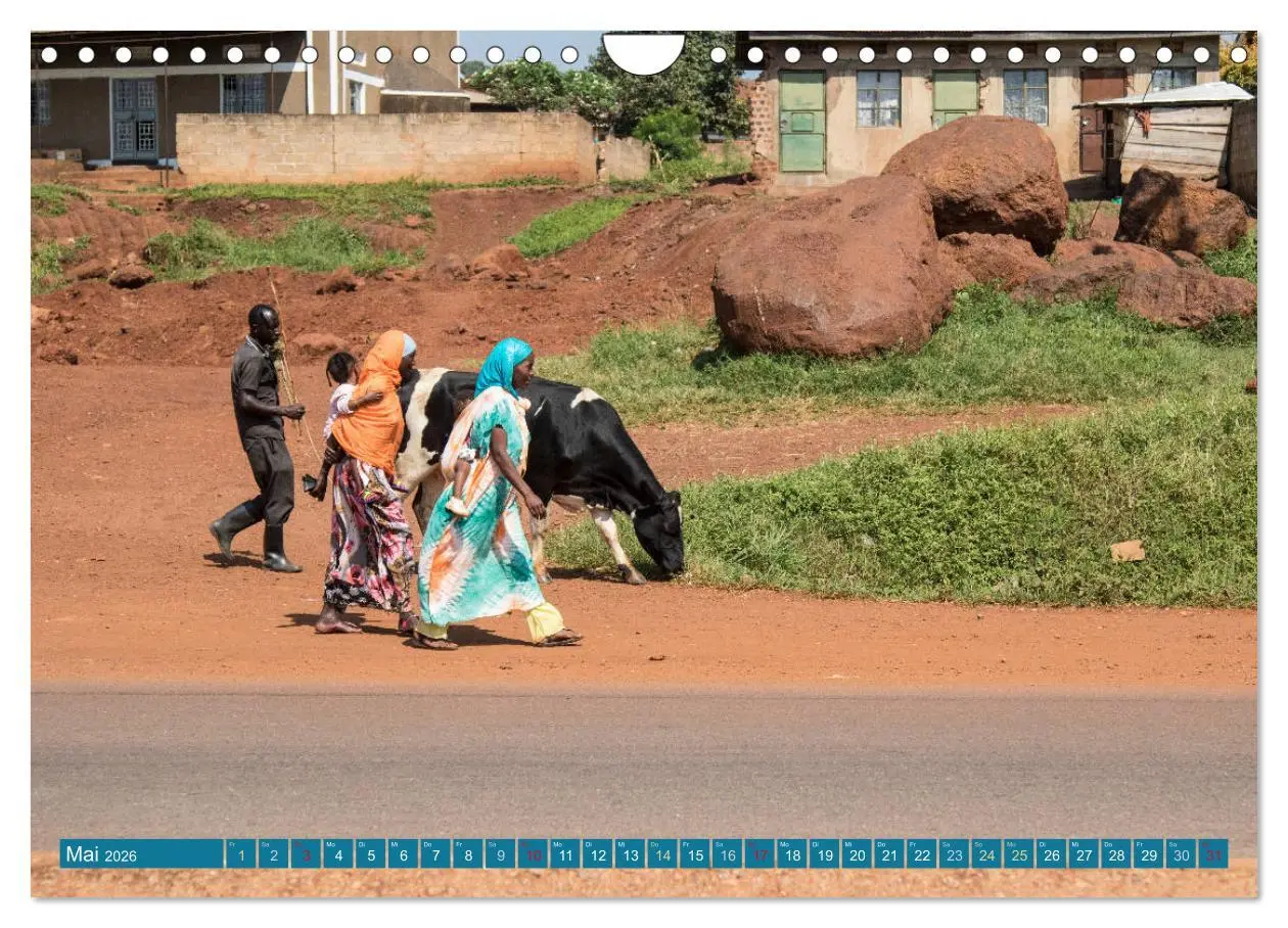 Bild: 9783457851890 | Geheimtipp Uganda (Wandkalender 2026 DIN A4 quer), CALVENDO...
