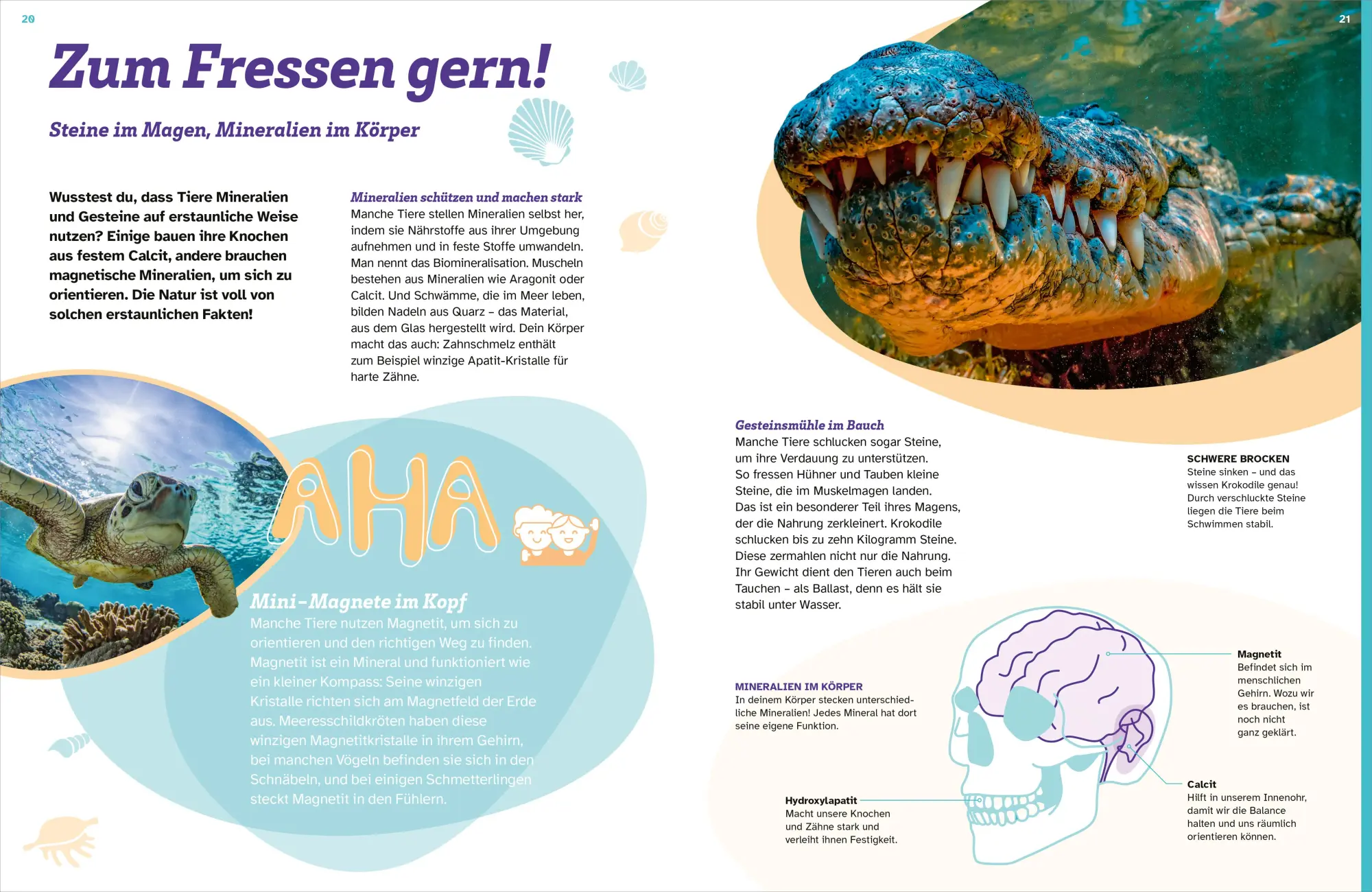 Bild: 9783788681890 | WAS IST WAS Mineralien und Gesteine. Schätze der Natur | Stefan Peters
