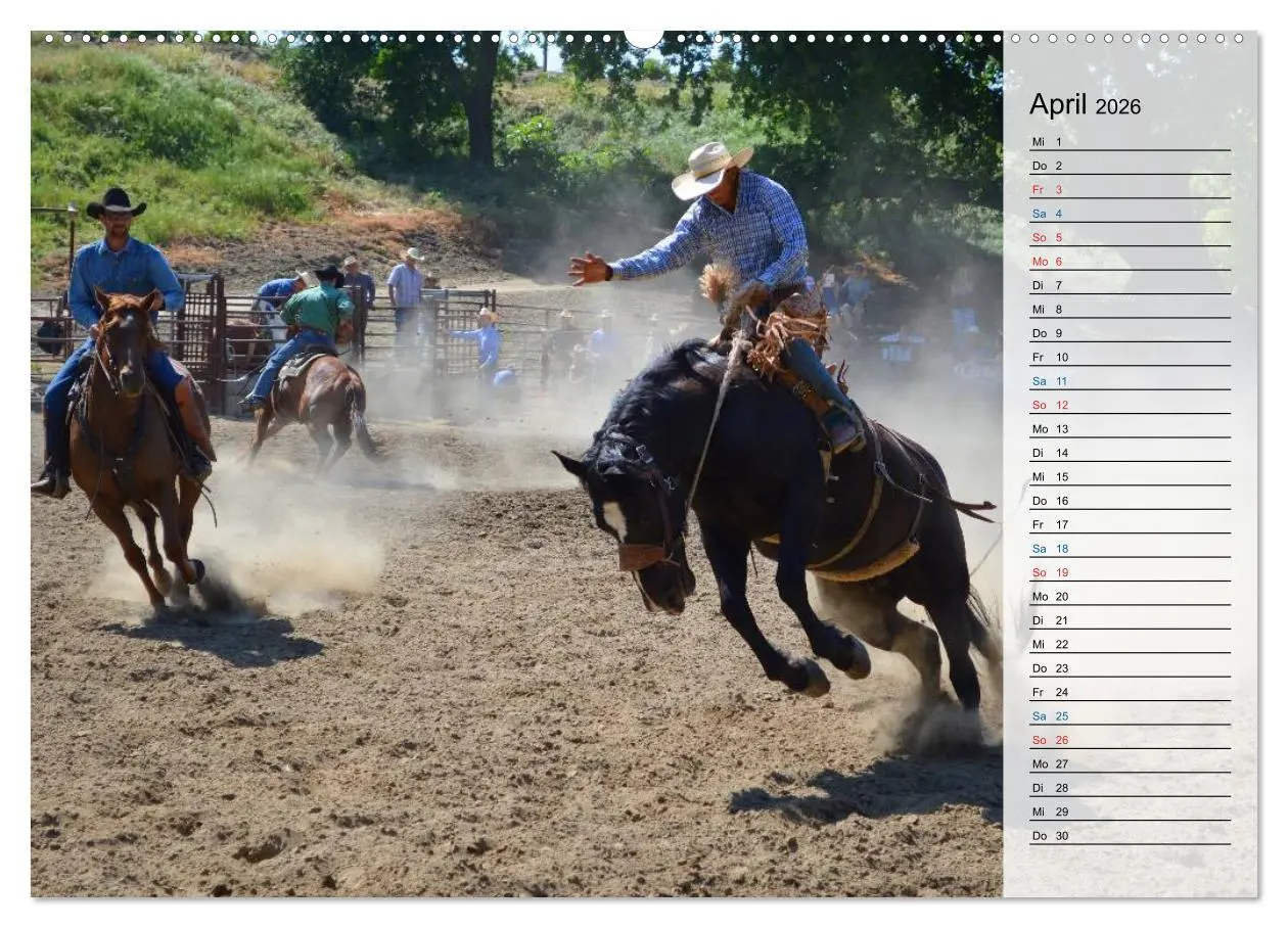 Bild: 9783457771990 | Faszination Rodeo (hochwertiger Premium Wandkalender 2026 DIN A2...