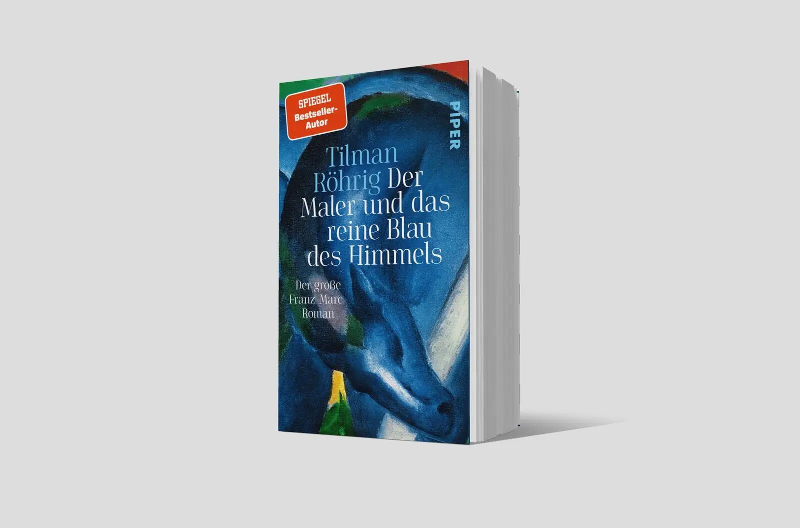 Bild: 9783492321990 | Der Maler und das reine Blau des Himmels | Tilman Röhrig | Taschenbuch