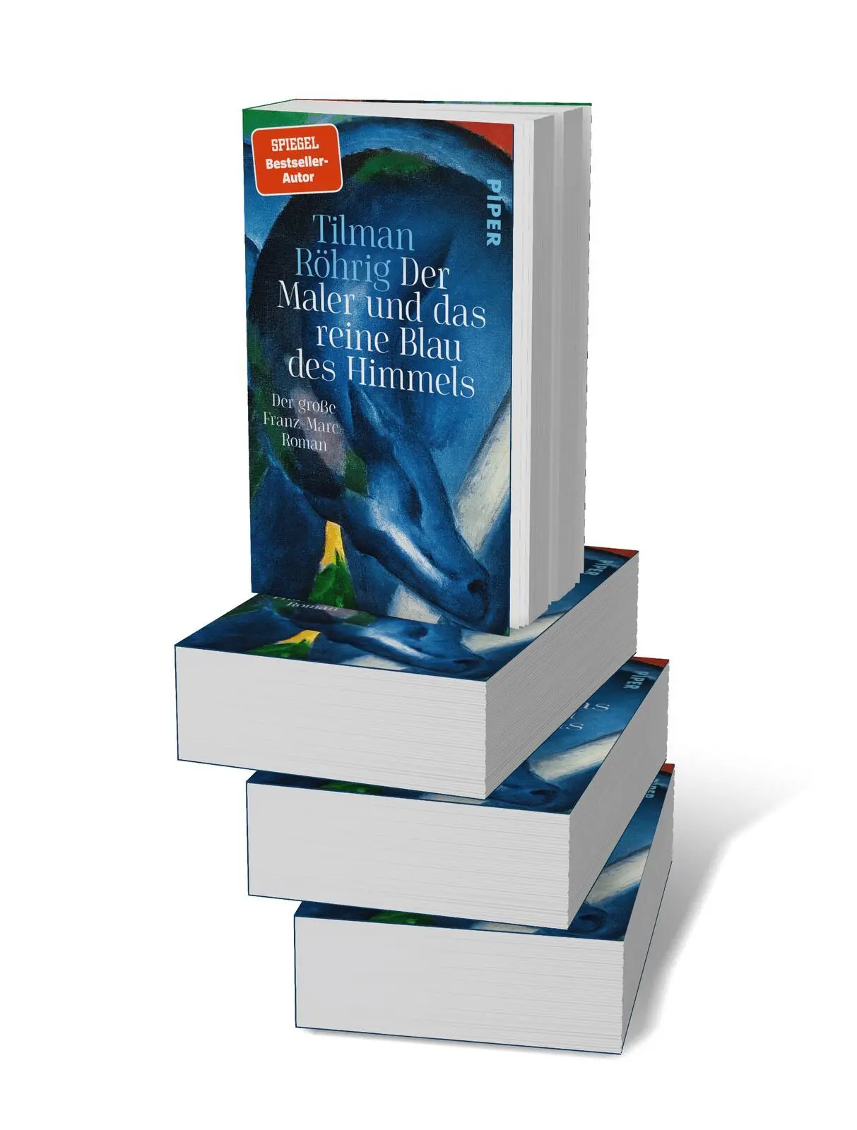 Bild: 9783492321990 | Der Maler und das reine Blau des Himmels | Tilman Röhrig | Taschenbuch
