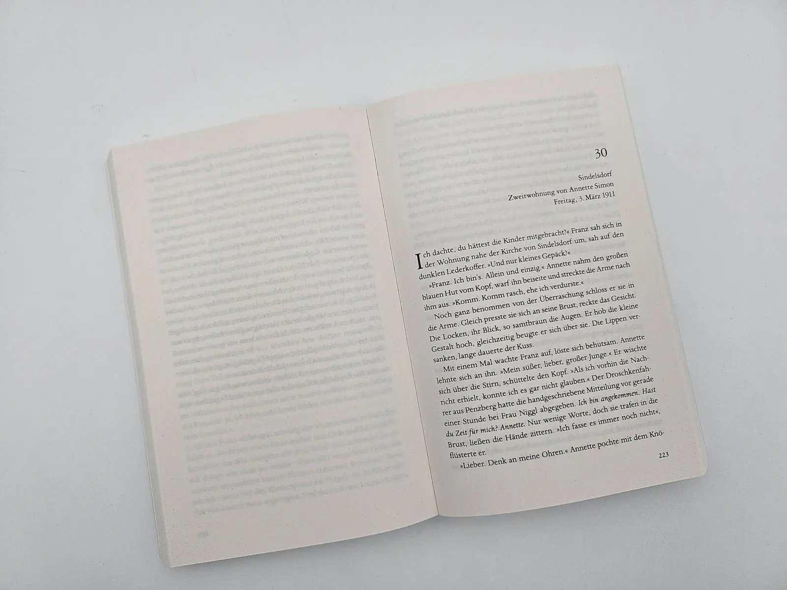 Bild: 9783492321990 | Der Maler und das reine Blau des Himmels | Tilman Röhrig | Taschenbuch