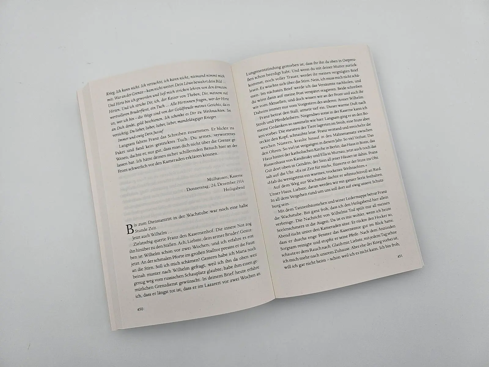 Bild: 9783492321990 | Der Maler und das reine Blau des Himmels | Tilman Röhrig | Taschenbuch