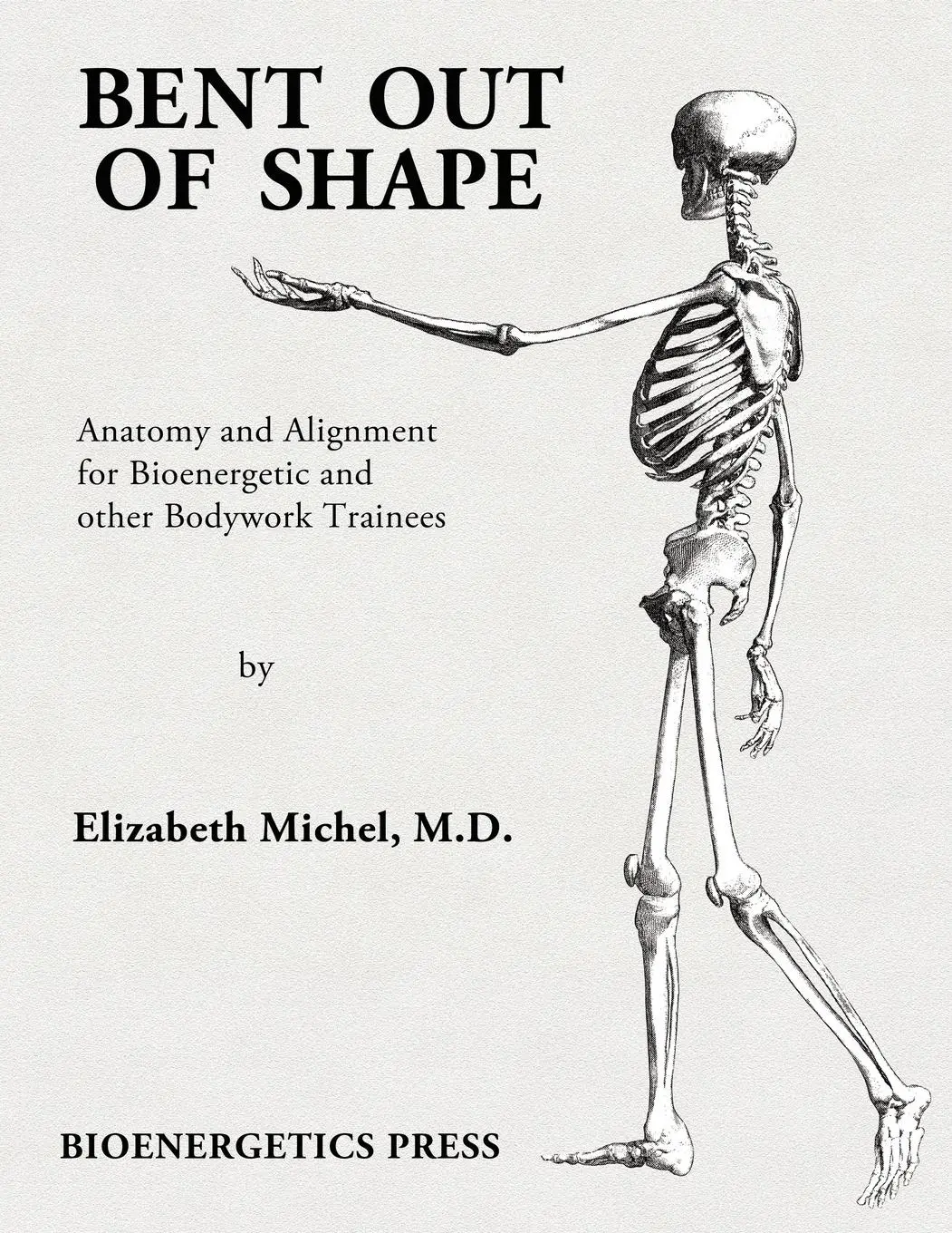 Cover: 9780615292090 | Bent Out of Shape | Elizabeth Michel | Taschenbuch | Englisch | 2011