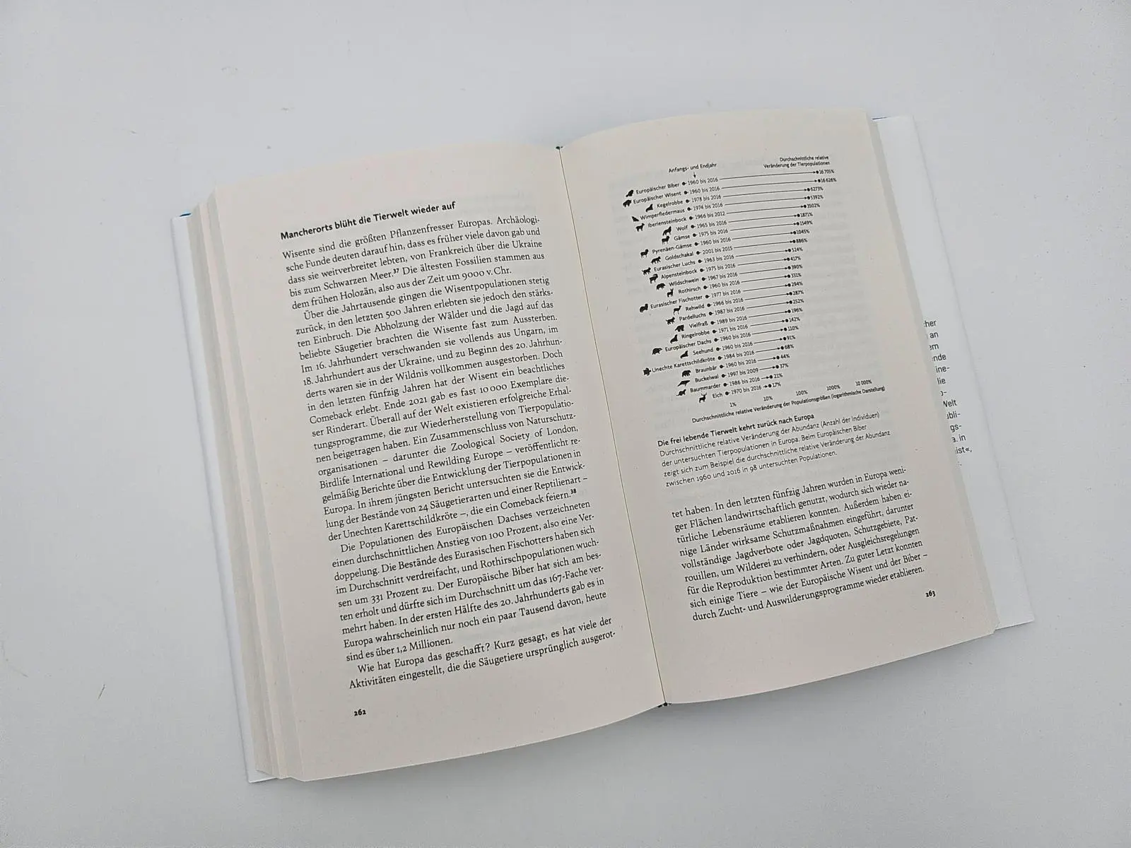 Bild: 9783492072090 | Hoffnung für Verzweifelte | Hannah Ritchie | Buch | 384 S. | Deutsch