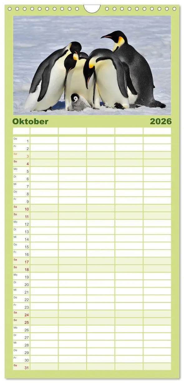 Bild: 9783516512090 | Familienplaner 2026 - Pinguine - Watscheln im festlichen Kleid mit...