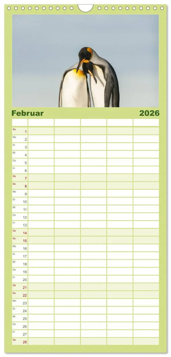 Bild: 9783516512090 | Familienplaner 2026 - Pinguine - Watscheln im festlichen Kleid mit...