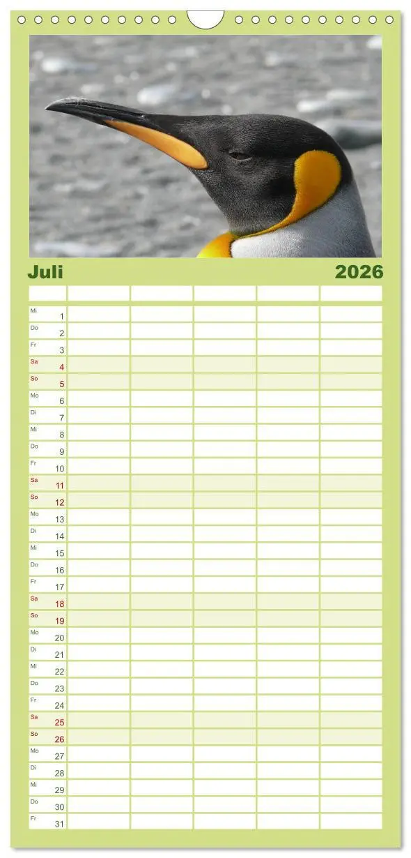 Bild: 9783516512090 | Familienplaner 2026 - Pinguine - Watscheln im festlichen Kleid mit...
