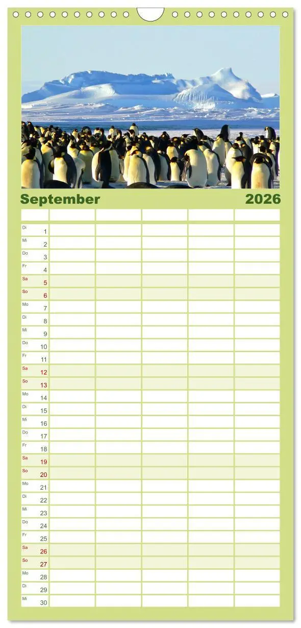 Bild: 9783516512090 | Familienplaner 2026 - Pinguine - Watscheln im festlichen Kleid mit...