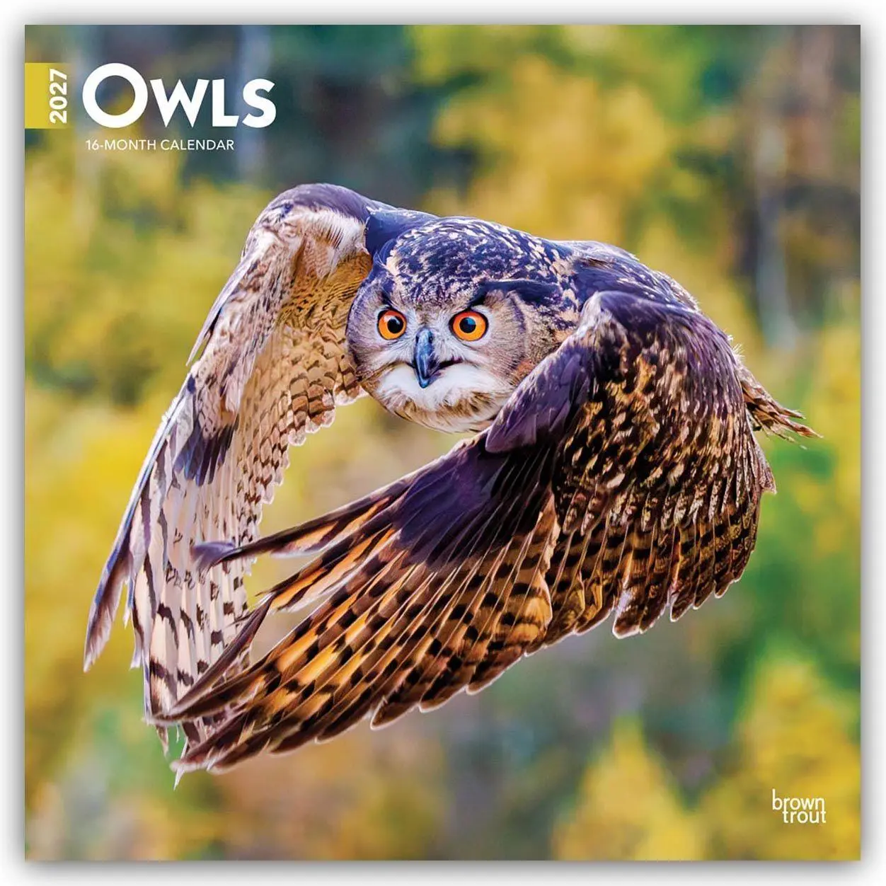 Cover: 9798330712090 | Owls 2027 12 X 24 Inch (Hanging) Monthly Square Wall Calendar...