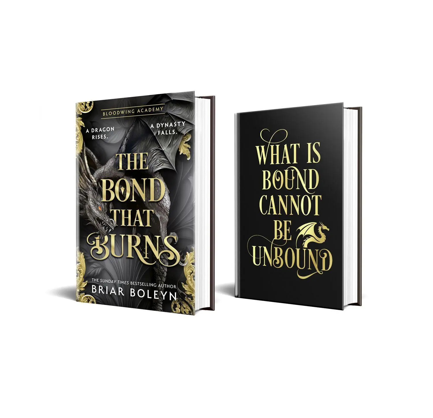 Bild: 9780008792190 | The Bond that Burns | Briar Boleyn | Buch | Bloodwing Academy | 2025