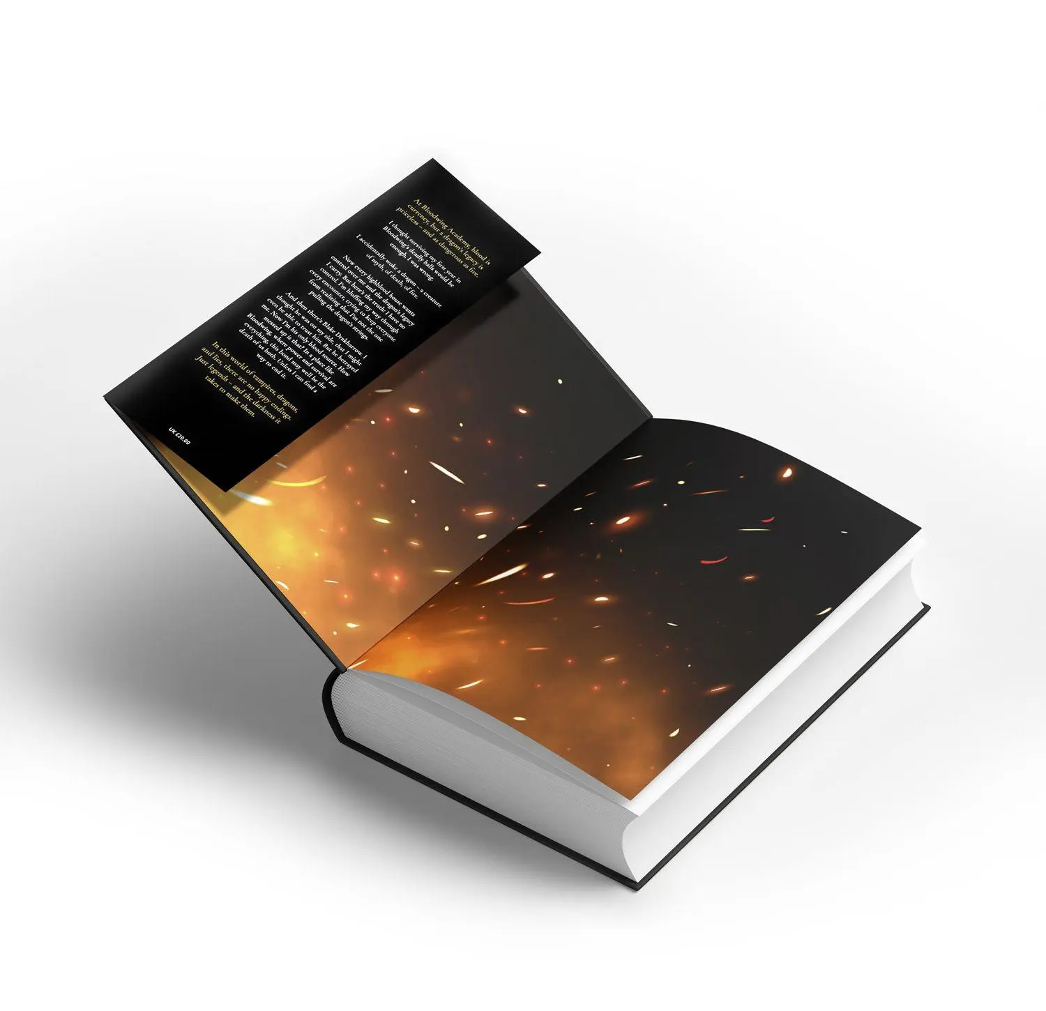 Bild: 9780008792190 | The Bond that Burns | Briar Boleyn | Buch | Bloodwing Academy | 2025