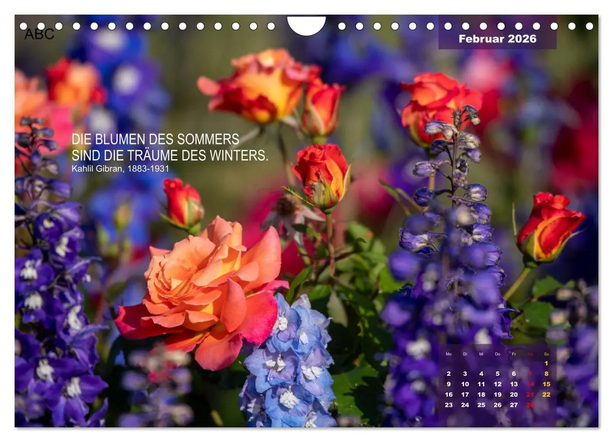 Bild: 9783457582190 | Rose Königin des Gartens (Wandkalender 2026 DIN A4 quer), CALVENDO...