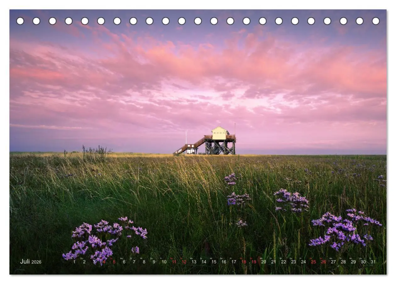 Bild: 9783457572290 | Wunderschönes Eiderstedt (Tischkalender 2026 DIN A5 quer), CALVENDO...