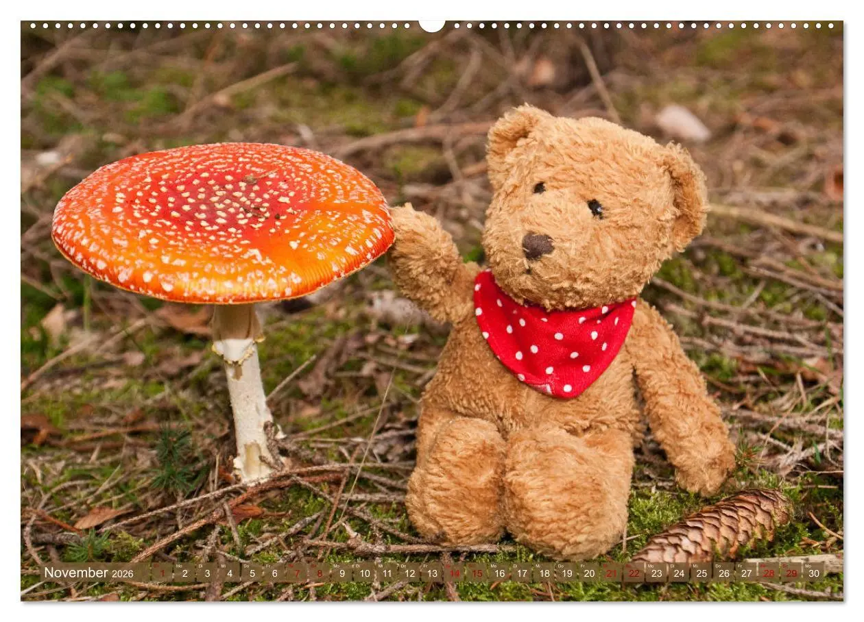 Bild: 9783457882290 | Kunterbunte Bärenwelt - Teddys (Wandkalender 2026 DIN A2 quer),...