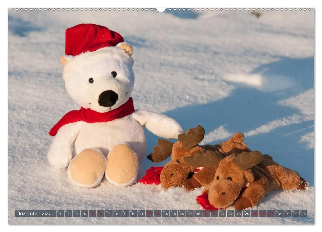 Bild: 9783457882290 | Kunterbunte Bärenwelt - Teddys (Wandkalender 2026 DIN A2 quer),...