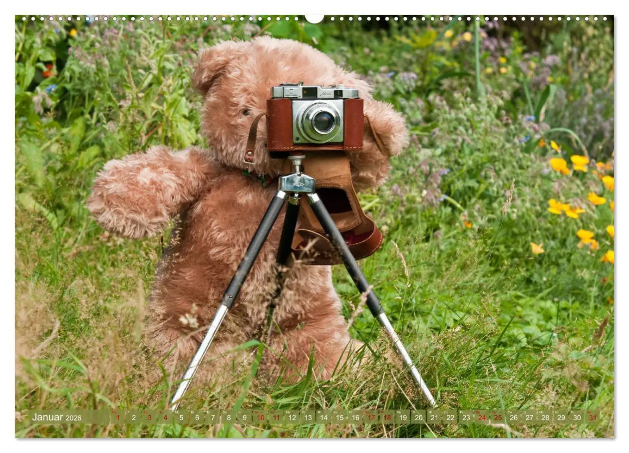 Bild: 9783457882290 | Kunterbunte Bärenwelt - Teddys (Wandkalender 2026 DIN A2 quer),...