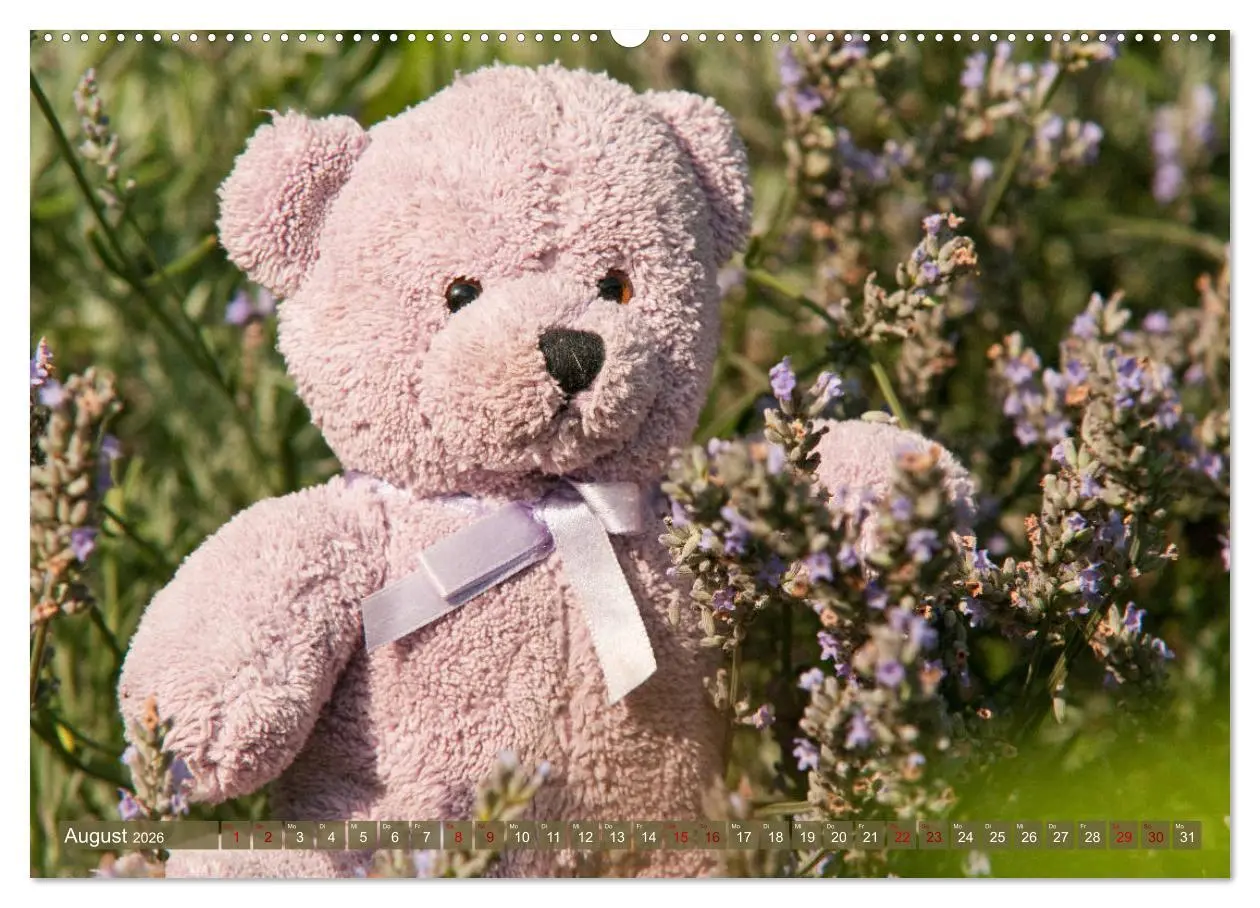 Bild: 9783457882290 | Kunterbunte Bärenwelt - Teddys (Wandkalender 2026 DIN A2 quer),...
