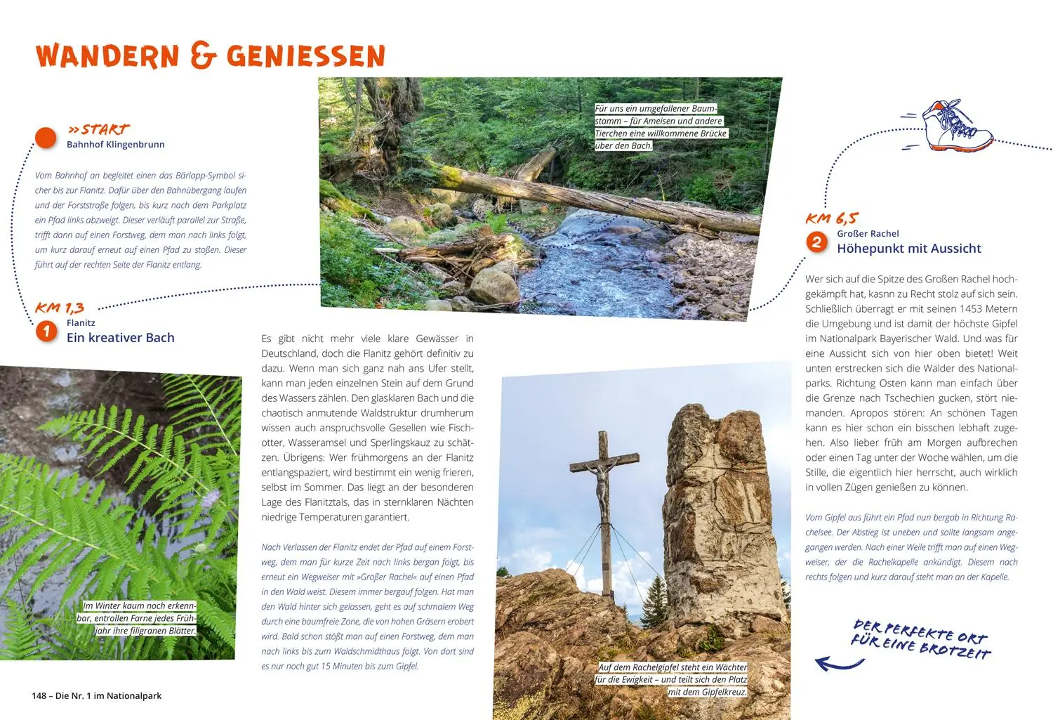 Bild: 9783616032290 | DUMONT Wanderzeit im Bayerischen Wald | Melanie Wolfmeier | Buch