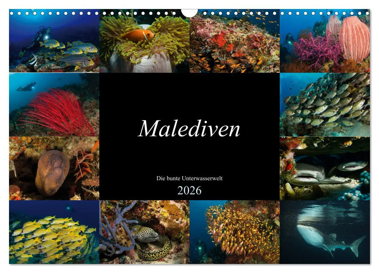 Cover: 9783457872390 | Malediven - Die bunte Unterwasserwelt (Wandkalender 2026 DIN A3...