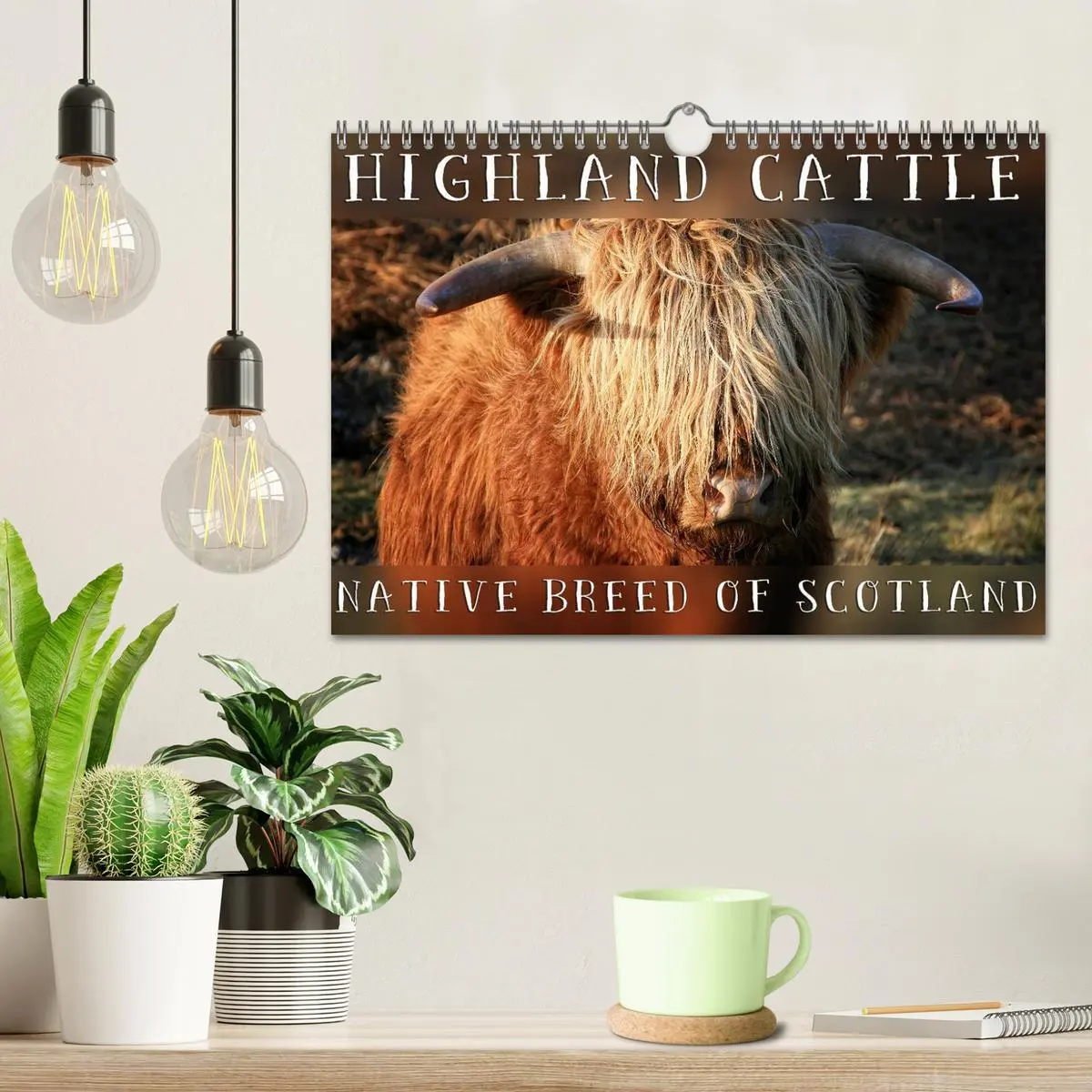 Bild: 9783516582390 | Highland Cattle - Native Breed of Scotland (Wall Calendar 2026 DIN...