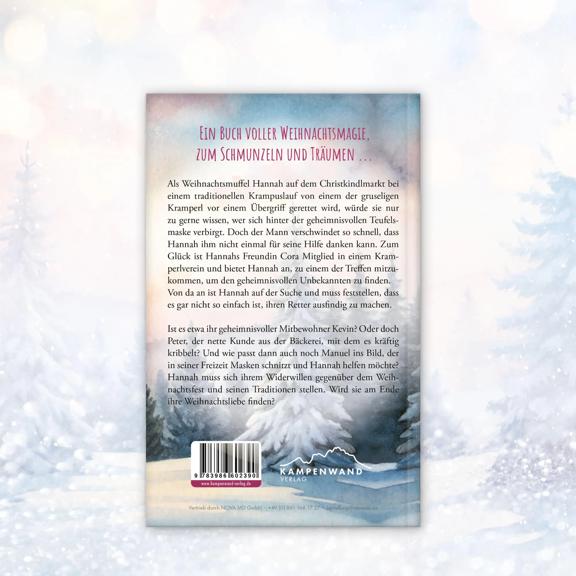 Bild: 9783986602390 | Weihnachtsliebe auf den zweiten Blick | Lotte Römer | Taschenbuch