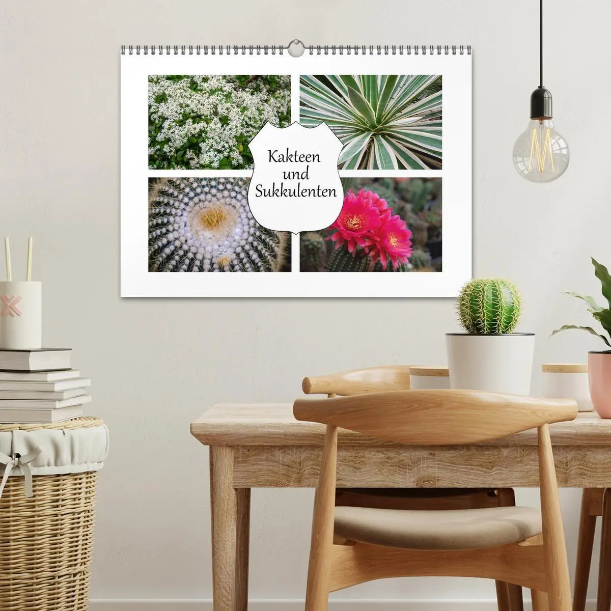 Bild: 9783457792490 | Kakteen und Sukkulenten (Wandkalender 2026 DIN A3 quer), CALVENDO...
