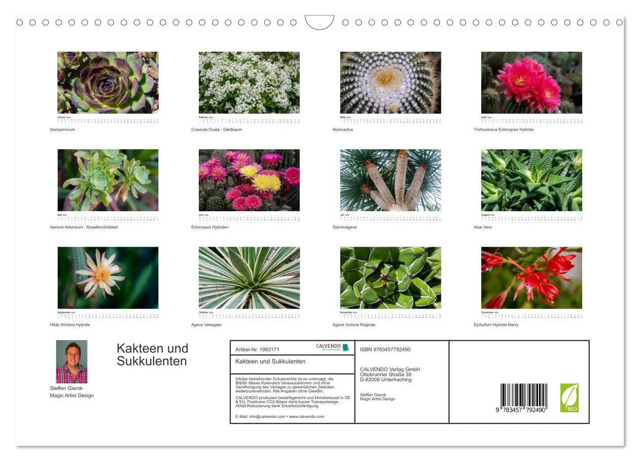 Bild: 9783457792490 | Kakteen und Sukkulenten (Wandkalender 2026 DIN A3 quer), CALVENDO...