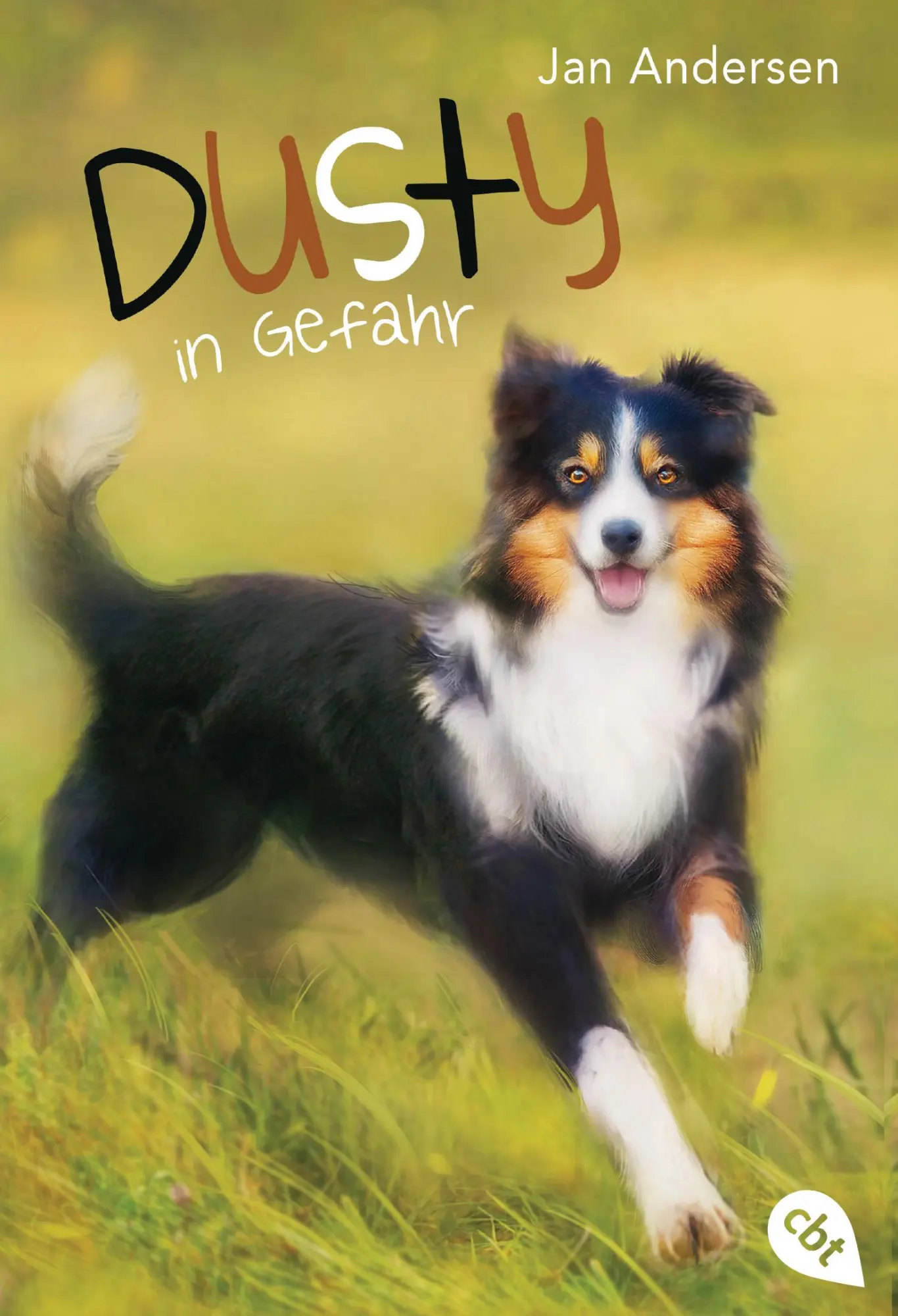 Cover: 9783570312490 | Dusty in Gefahr | Jan Andersen | Taschenbuch | Die Dusty-Reihe | 2019
