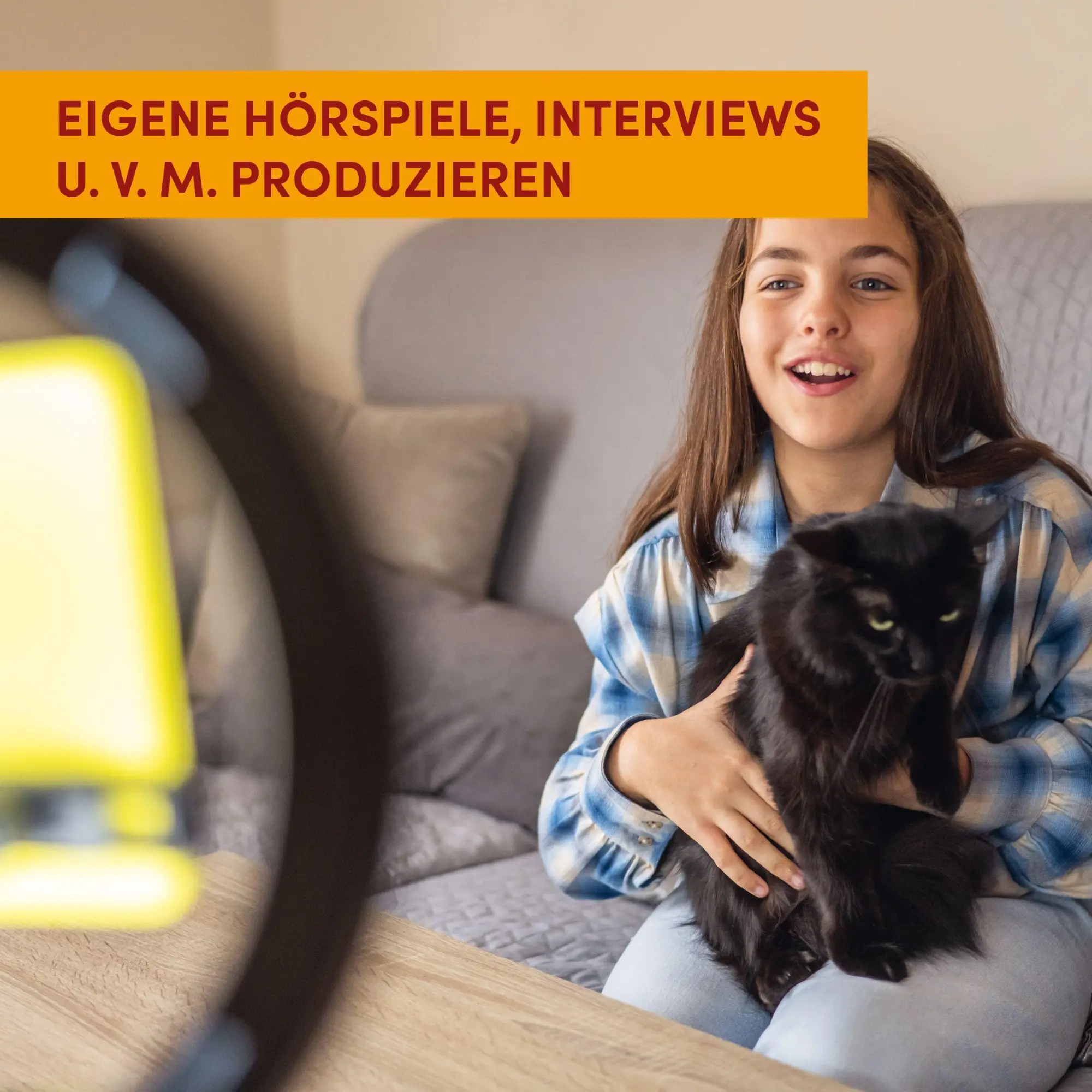 Bild: 9783735892690 | Digital Genial! - Schritt für Schritt zum Medienprofi | Lilly Werny