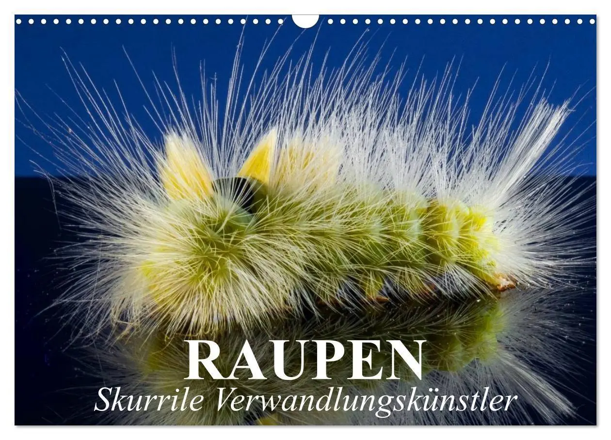 Cover: 9783516092790 | Raupen - Skurrile Verwandlungskünstler (Wandkalender 2026 DIN A3...