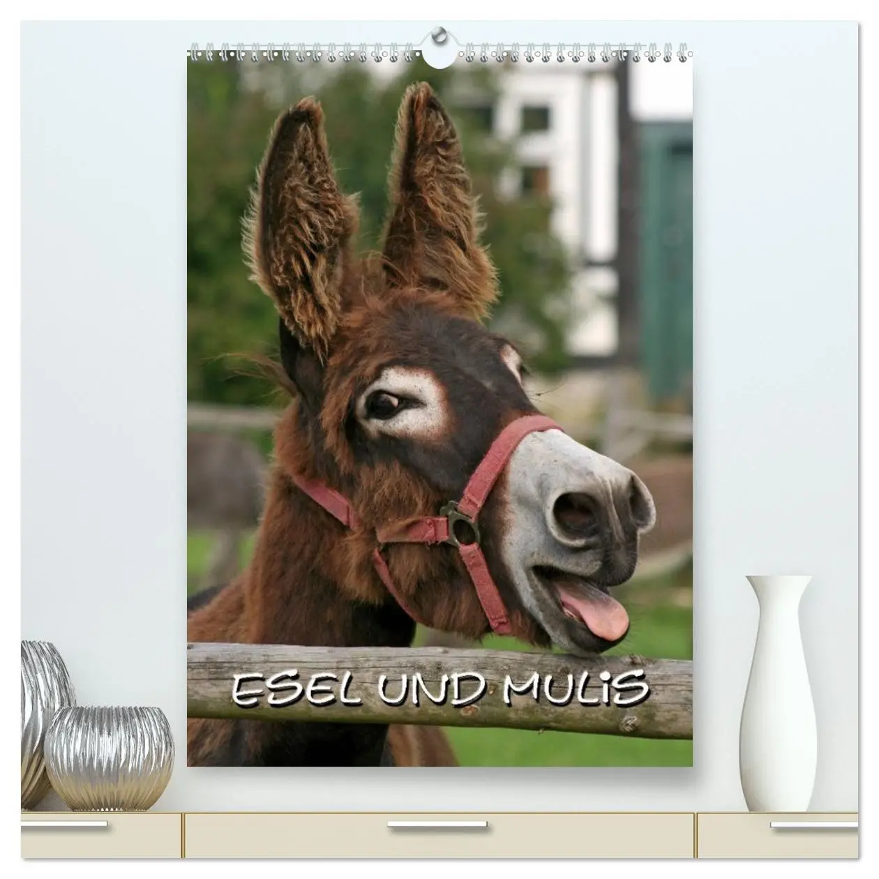 Cover: 9783516472790 | Esel und Mulis (hochwertiger Premium Wandkalender 2026 DIN A2...