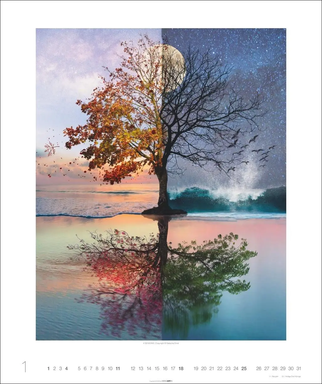Bild: 9783839902790 | Surreale Welten Kalender 2026 | Natacha Einat | Kalender | 14 S.
