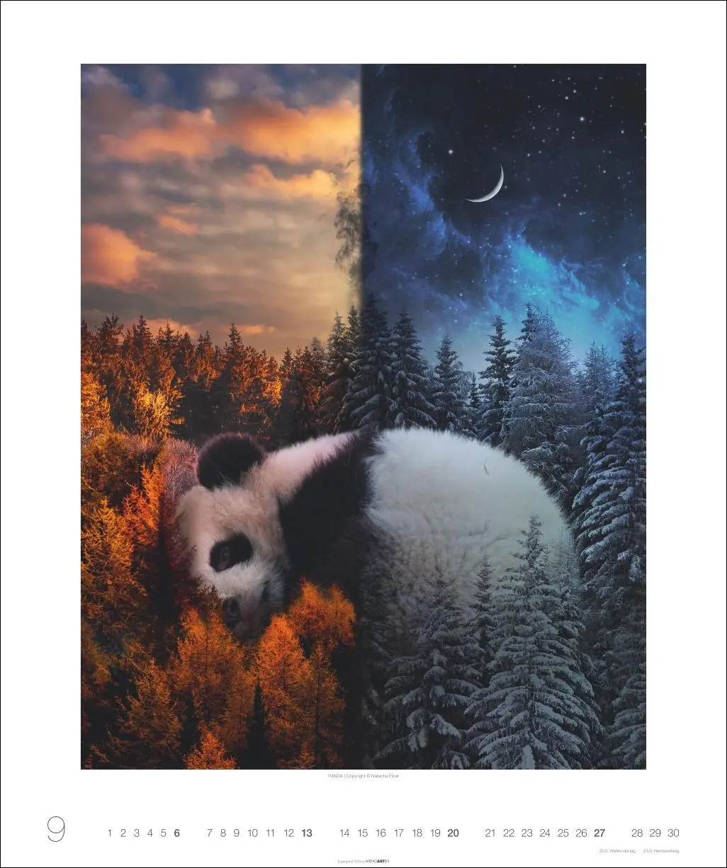 Bild: 9783839902790 | Surreale Welten Kalender 2026 | Natacha Einat | Kalender | 14 S.