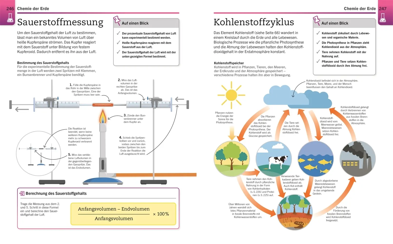 Bild: 9783831042890 | Visuelles Wissen. Chemie | DK Verlag | Taschenbuch | Visuelles Wissen