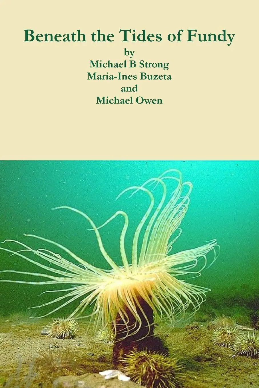 Cover: 9781365182990 | Beneath the Tides of Fundy | Michael Strong (u. a.) | Taschenbuch