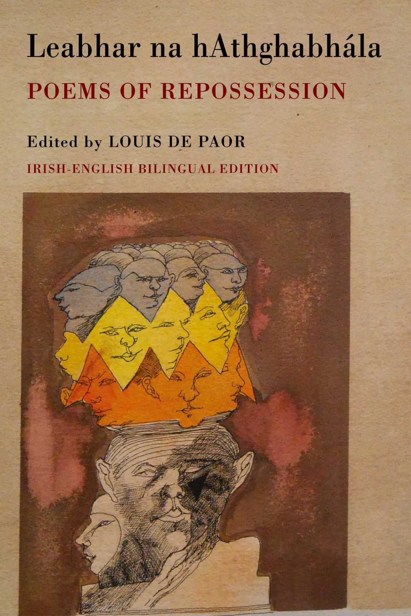 Cover: 9781780372990 | Leabhar Na hAthghabhála | Poems of Repossession | Louis De Paor | Buch